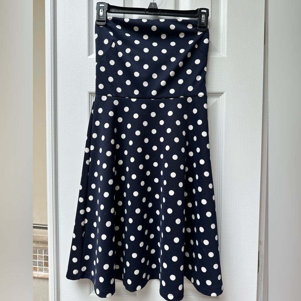 The Limited Navy and White Polka Dot Dress